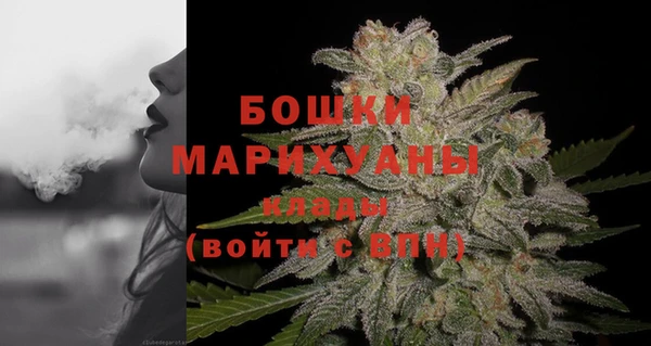 сатива Белокуриха