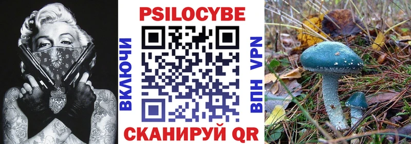 Псилоцибиновые грибы Psilocybe  Нея 